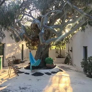  Bed and breakfast Patio Ii At España